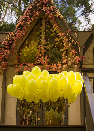 melbourne wedding photographer leslie truong photography