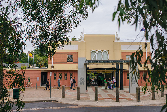 melbourne wedding photographer leslie truong family photography