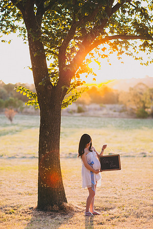 melbourne wedding photographer leslie truong maternity photography