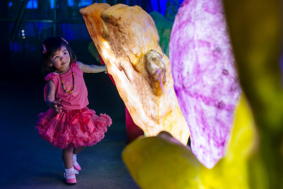 melbourne wedding photographer leslie truong family photography