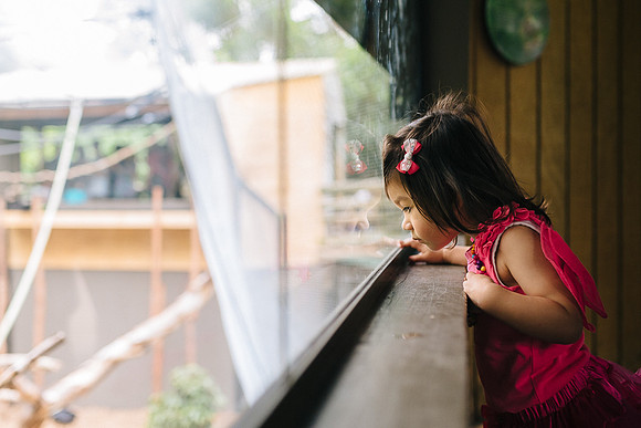 melbourne wedding photographer leslie truong family photography